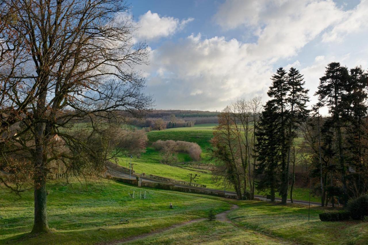 Domaine Des Myosotis, Chambres D'Hotes Saint-Honoré Eksteriør bilde
